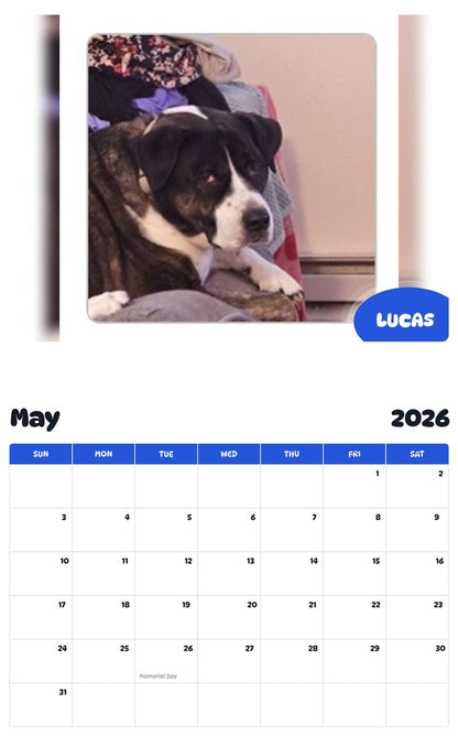2026 - 2027 LUCAS - Pawidols Pet Calendar