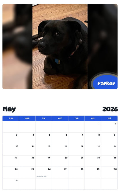2026 - 2027 Parker - Pawidols Pet Calendar