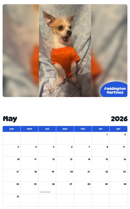 2026 - 2027 Paddington Martinez - Pawidols Pet Calendar