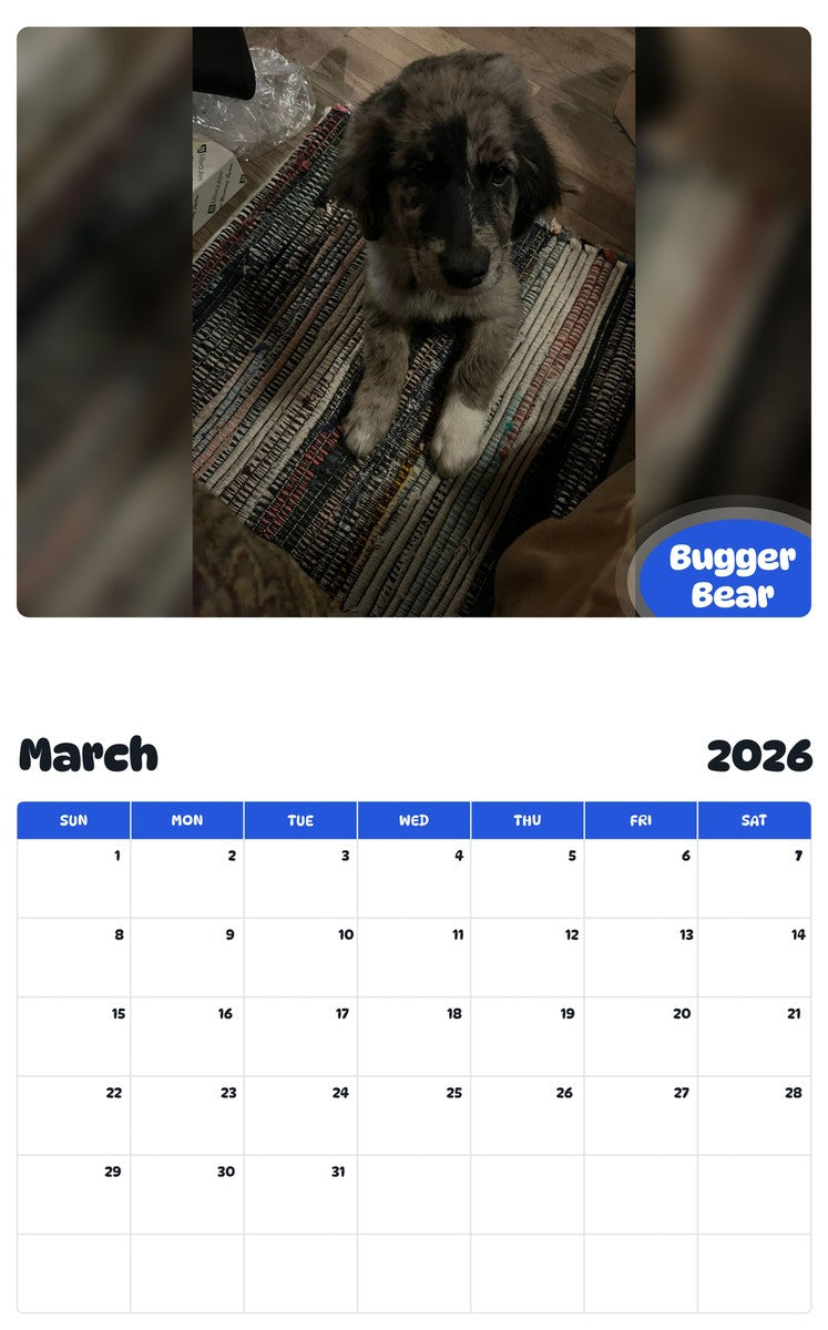 November 2025 - October 2026 Bugger Bear - Pawidols Pet Calendar
