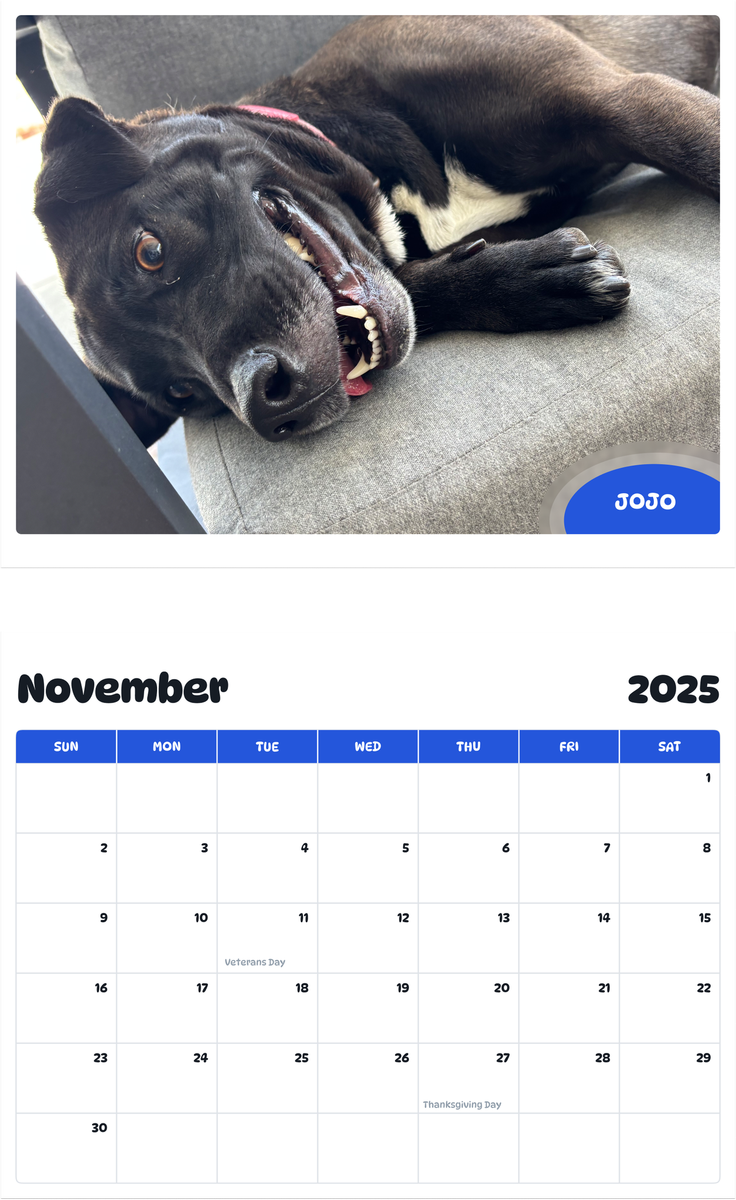 July 2025 - June 2026 Jojo - Pawidols Pet Calendar