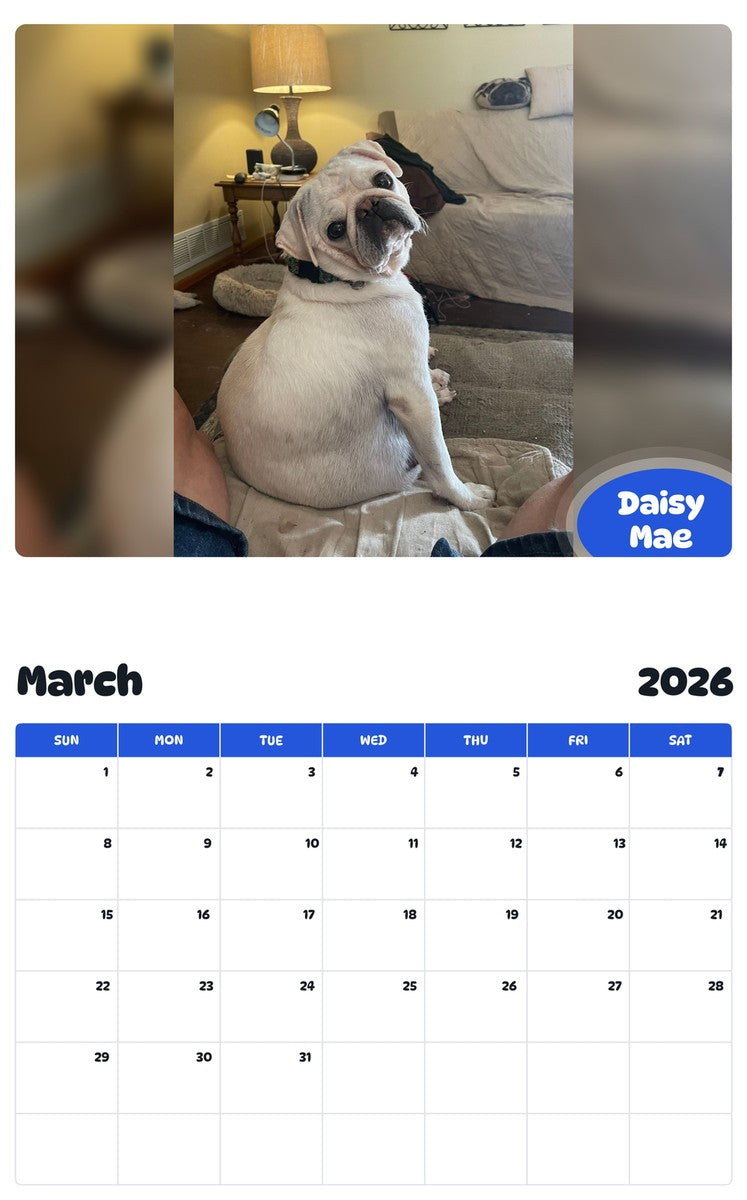 November 2025 - October 2026 Daisy Mae - Pawidols Pet Calendar