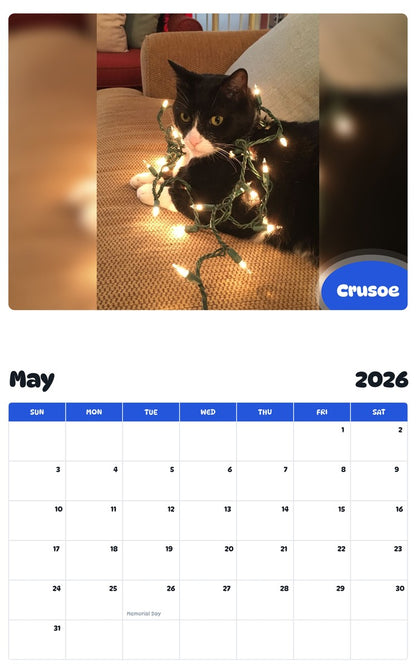 2026 - 2027 Crusoe - Pawidols Pet Calendar