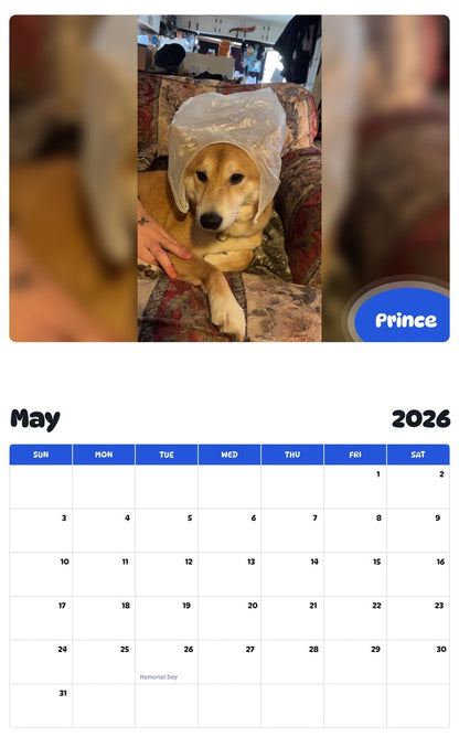 2026 - 2027 Prince - Pawidols Pet Calendar