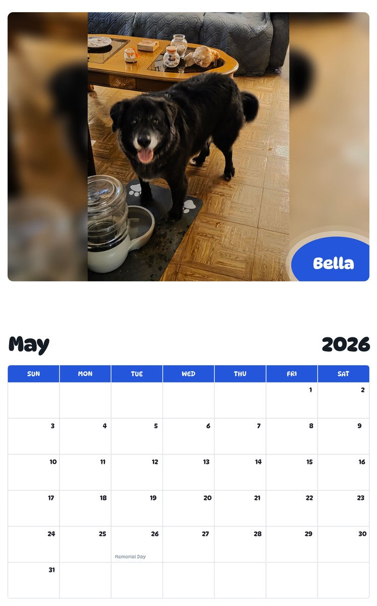 2026 - 2027 Bella - Pawidols Pet Calendar
