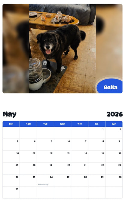 2026 - 2027 Bella - Pawidols Pet Calendar