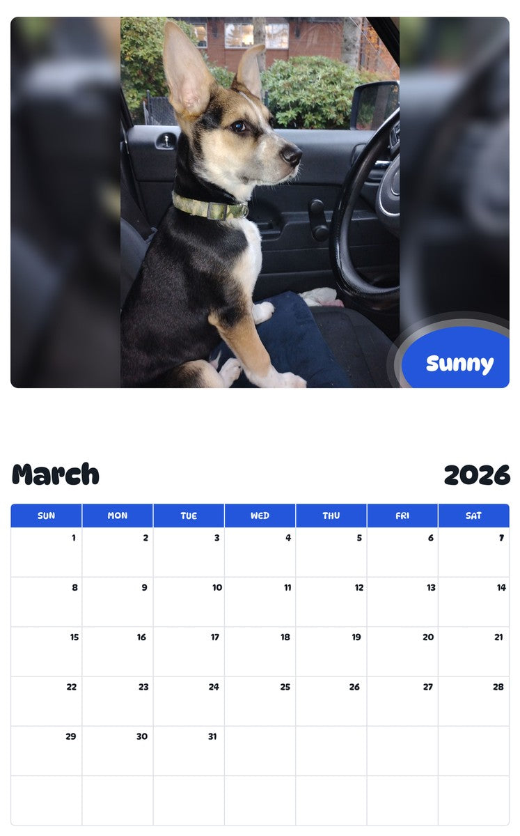 November 2025 - October 2026 Sunny - Pawidols Pet Calendar