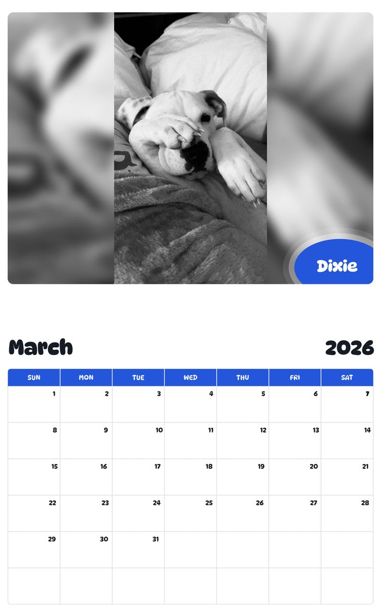 November 2025 - October 2026 Dixie - Pawidols Pet Calendar