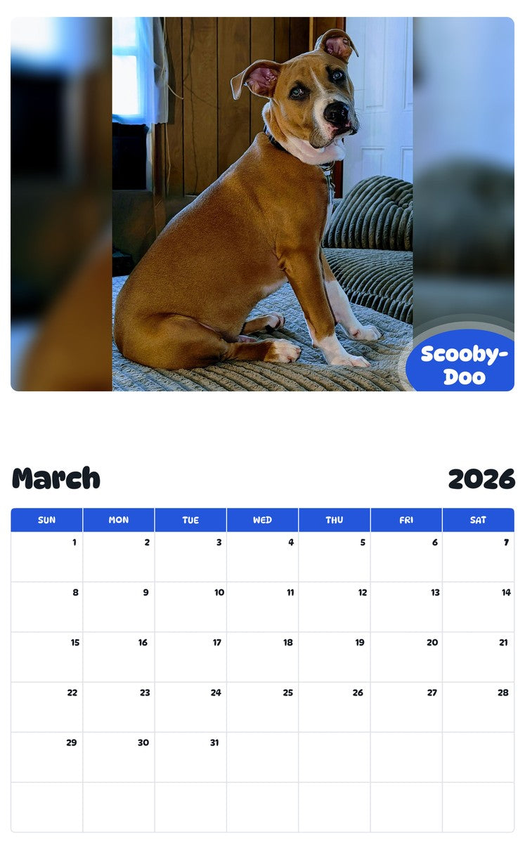 November 2025 - October 2026 Scooby-Doo - Pawidols Pet Calendar