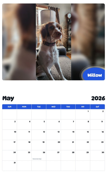 2026 - 2027 Willow - Pawidols Pet Calendar