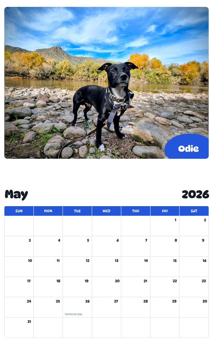 2026 - 2027 Odie - Pawidols Pet Calendar