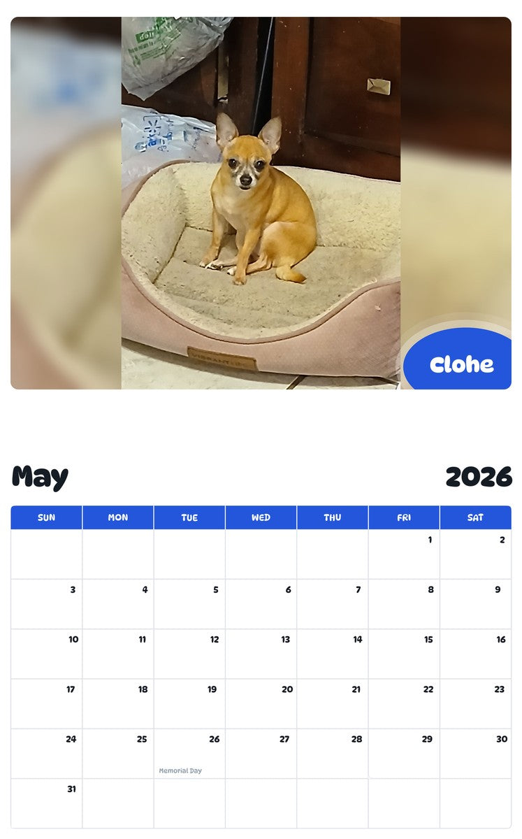 2026 - 2027 Clohe - Pawidols Pet Calendar