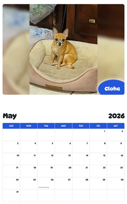 2026 - 2027 Clohe - Pawidols Pet Calendar