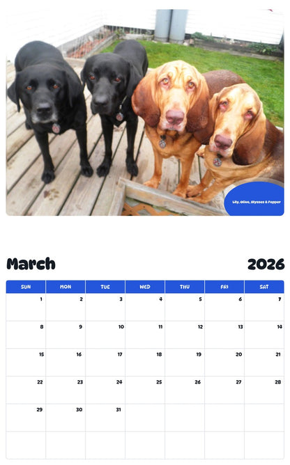 November 2025 - October 2026 Lily, Olive, Ulysses & Pepper - Pawidols Pet Calendar