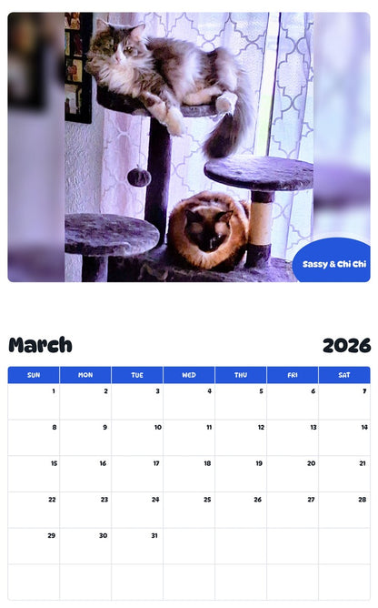 November 2025 - October 2026 Sassy & Chi Chi - Pawidols Pet Calendar
