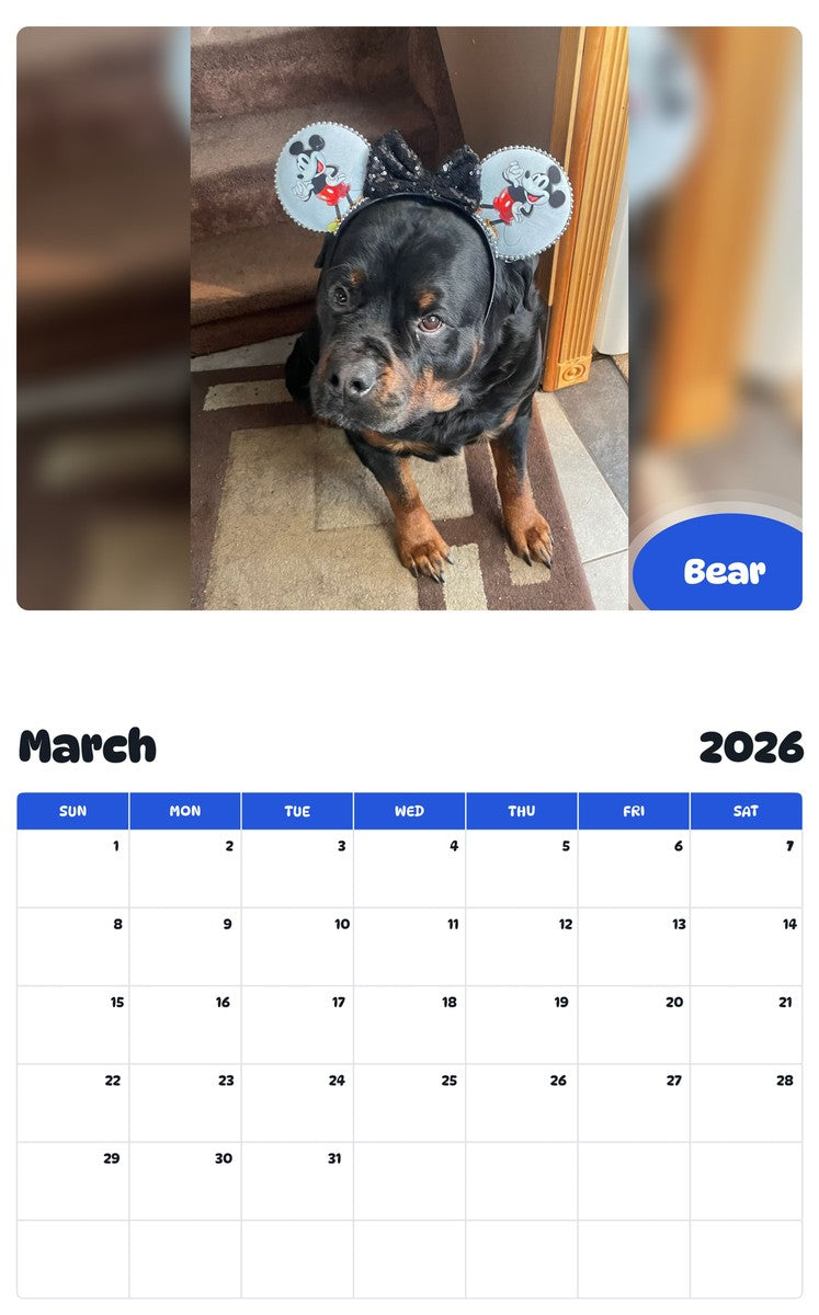 November 2025 - October 2026 Bear - Pawidols Pet Calendar