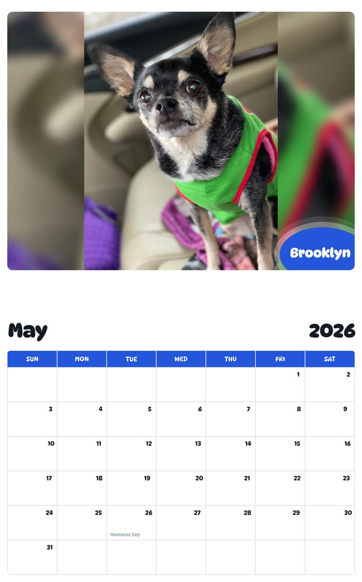 2026 - 2027 Brooklyn - Pawidols Pet Calendar