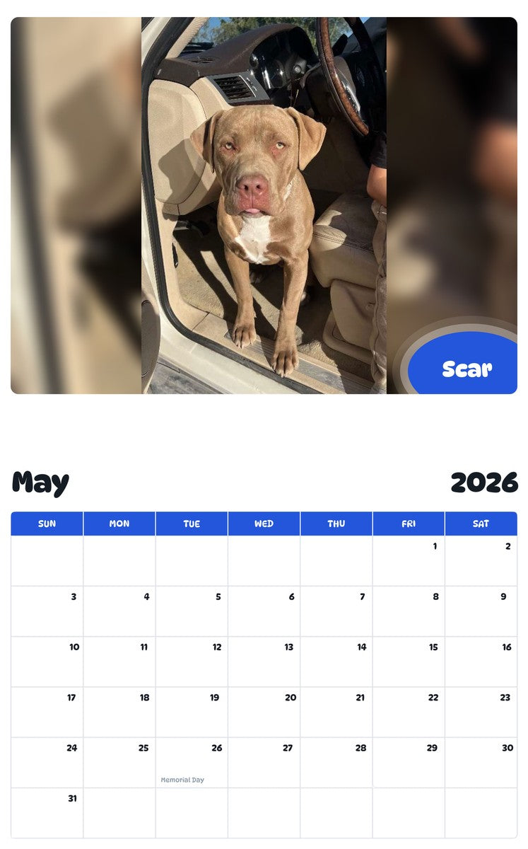 2026 - 2027 Scar - Pawidols Pet Calendar