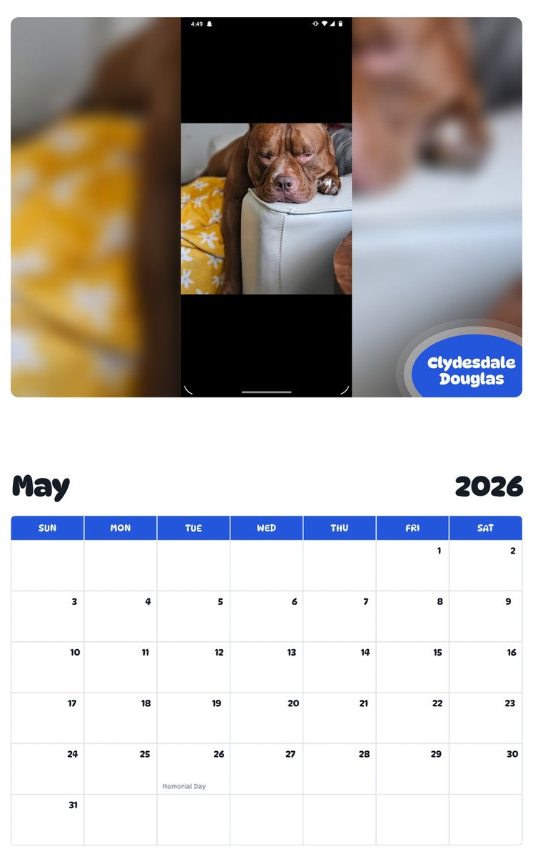 2026 - 2027 Clydesdale Douglas - Pawidols Pet Calendar