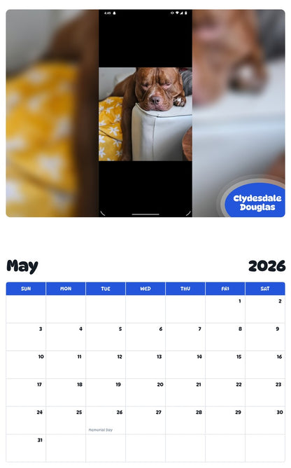 2026 - 2027 Clydesdale Douglas - Pawidols Pet Calendar