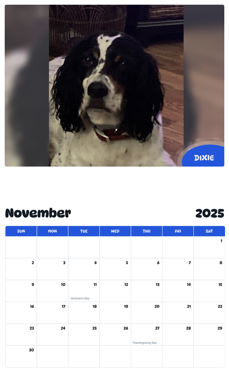 July 2025 - June 2026 Dixie - Pawidols Pet Calendar