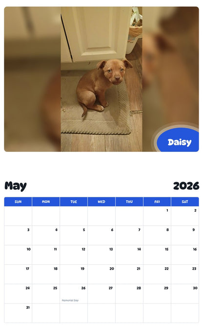 2026 - 2027 Daisy - Pawidols Pet Calendar