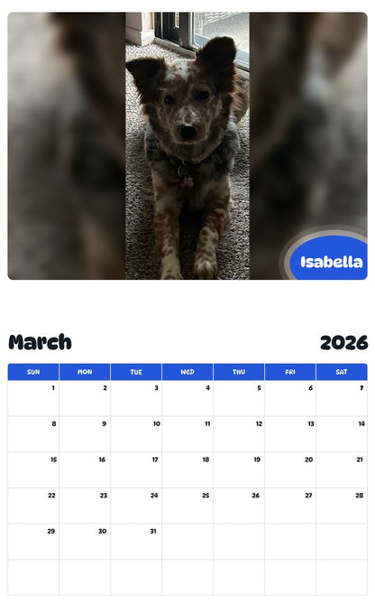 November 2025 - October 2026 Isabella - Pawidols Pet Calendar