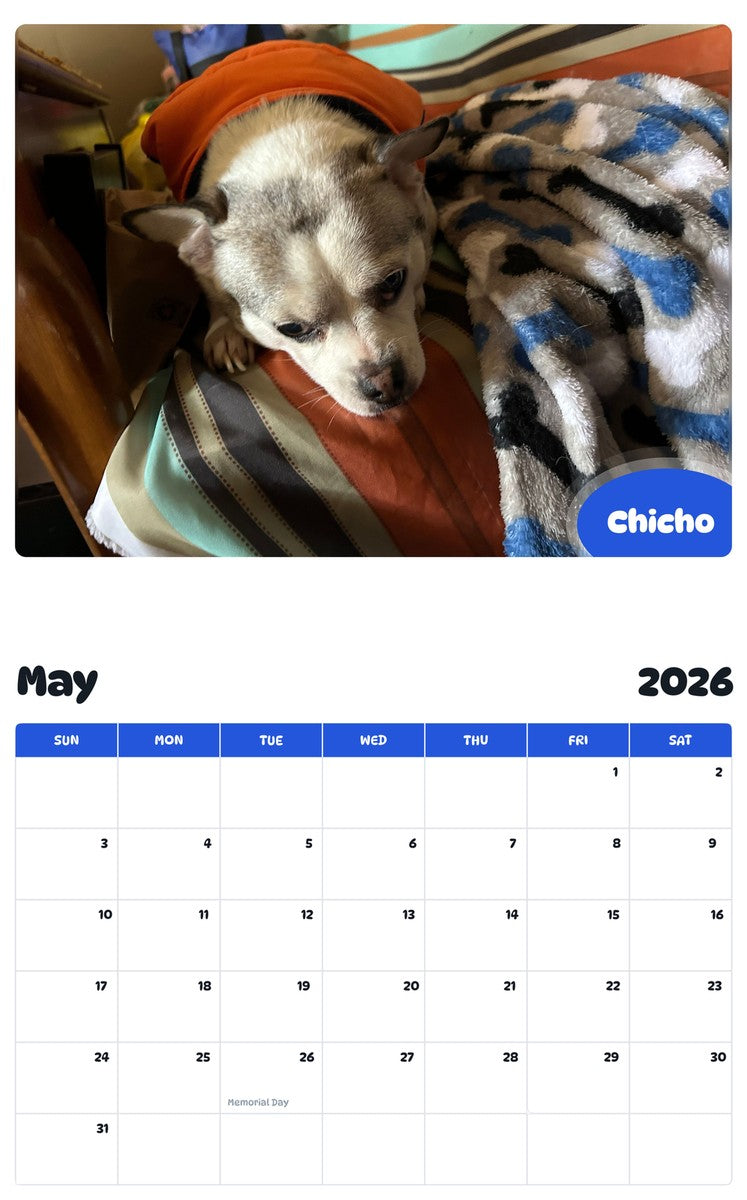 2026 - 2027 Chicho - Pawidols Pet Calendar