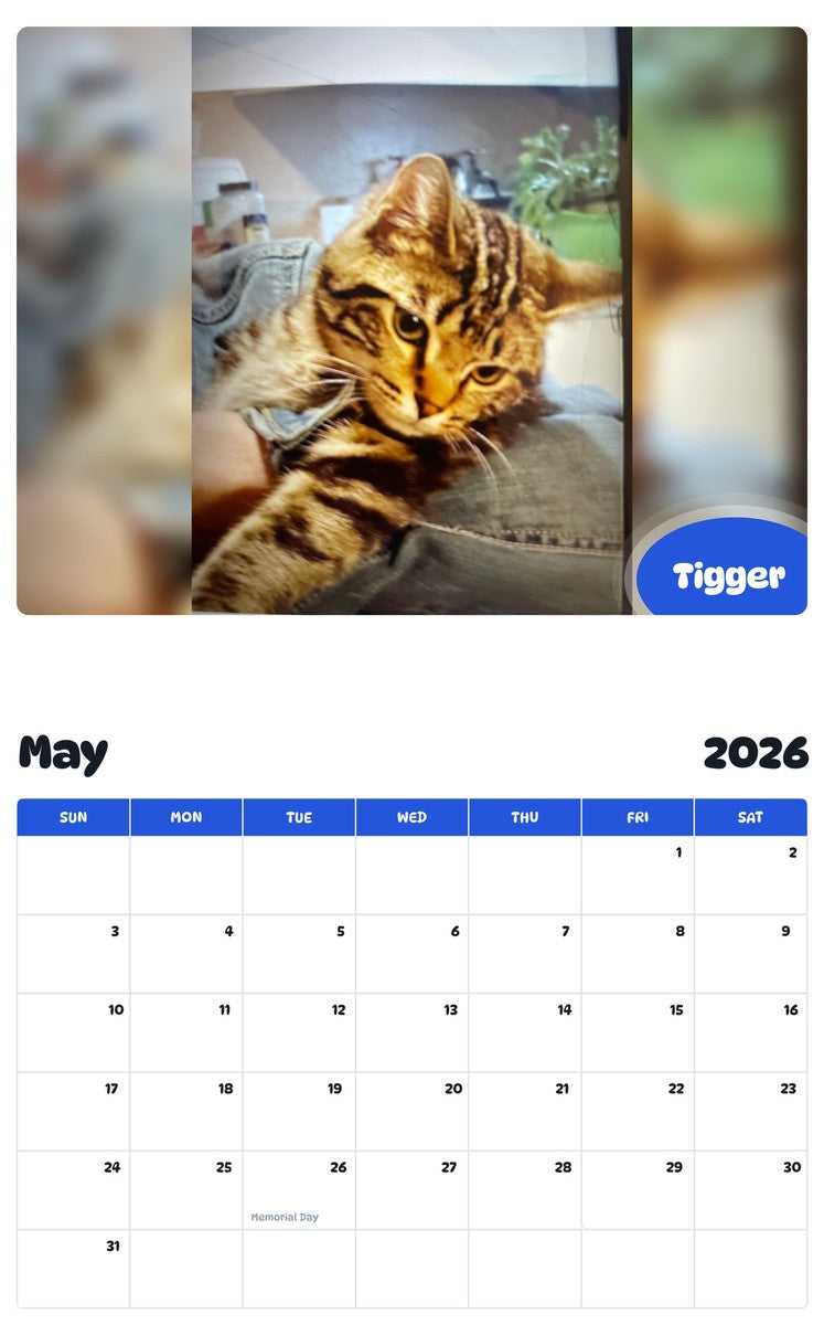2026 - 2027 Tigger - Pawidols Pet Calendar