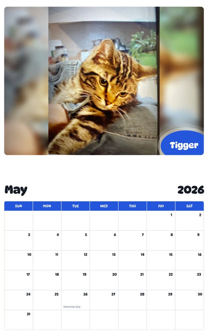 2026 - 2027 Tigger - Pawidols Pet Calendar
