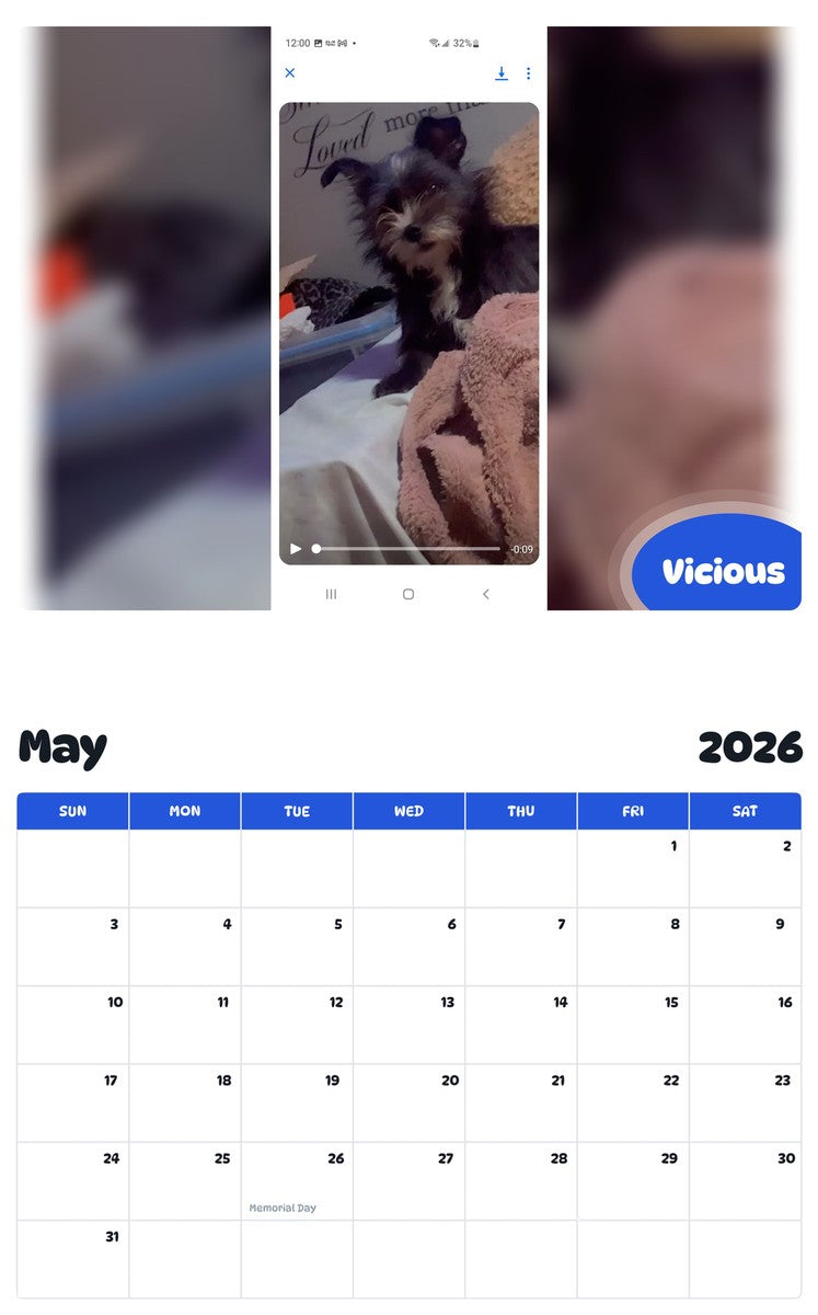 2026 - 2027 Vicious - Pawidols Pet Calendar