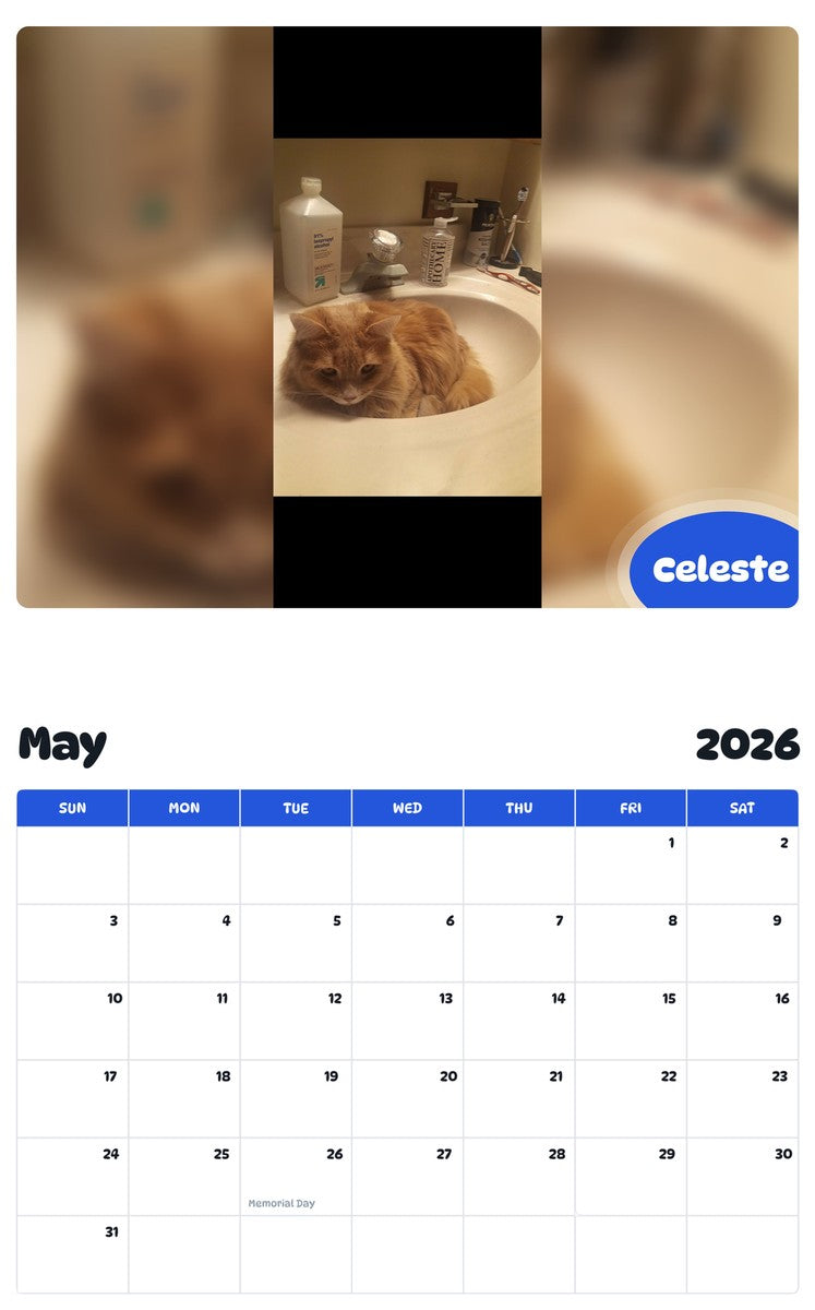 2026 - 2027 Celeste - Pawidols Pet Calendar