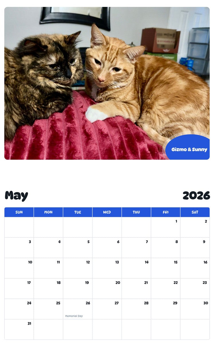 2026 - 2027 Gizmo & Sunny - Pawidols Pet Calendar