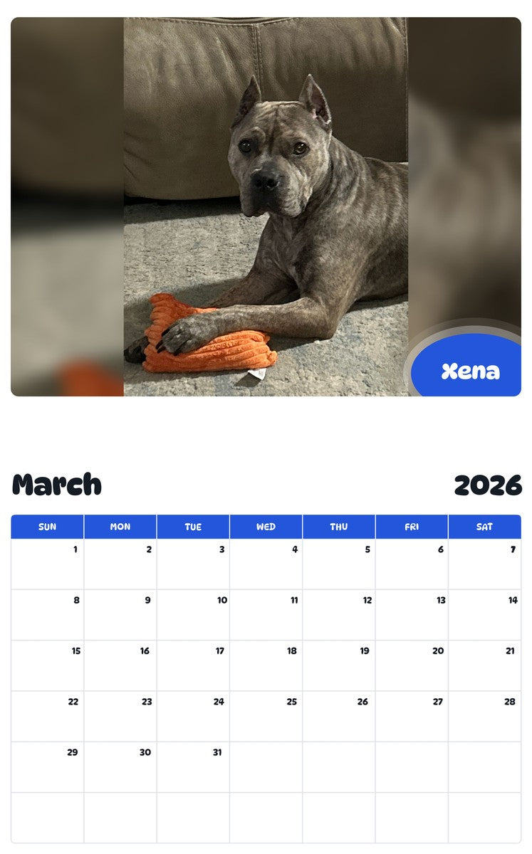 November 2025 - October 2026 Xena - Pawidols Pet Calendar