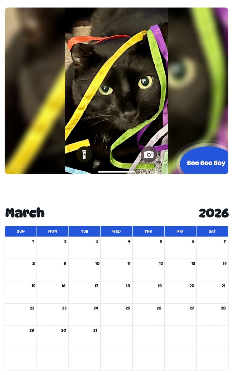 November 2025 - October 2026 Boo Boo Boy - Pawidols Pet Calendar
