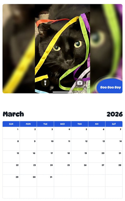 November 2025 - October 2026 Boo Boo Boy - Pawidols Pet Calendar