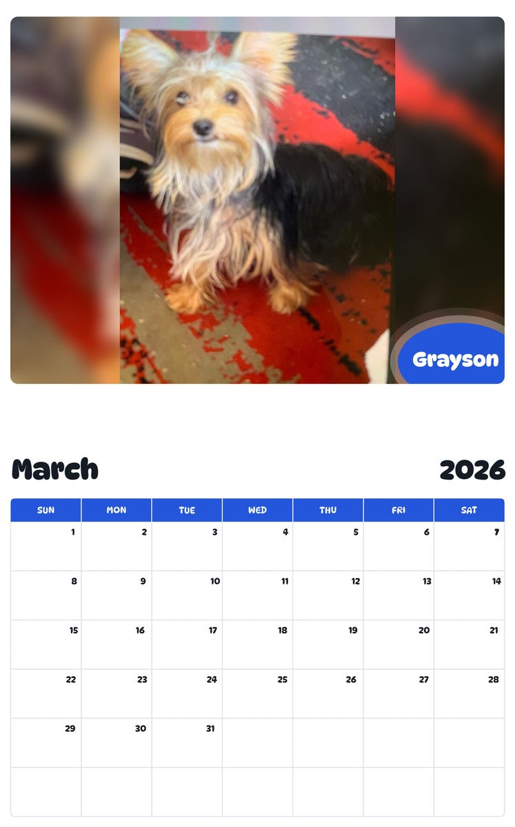 November 2025 - October 2026 Grayson - Pawidols Pet Calendar