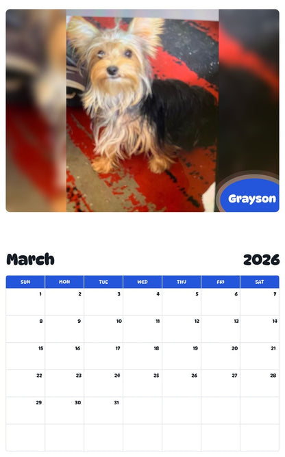 November 2025 - October 2026 Grayson - Pawidols Pet Calendar