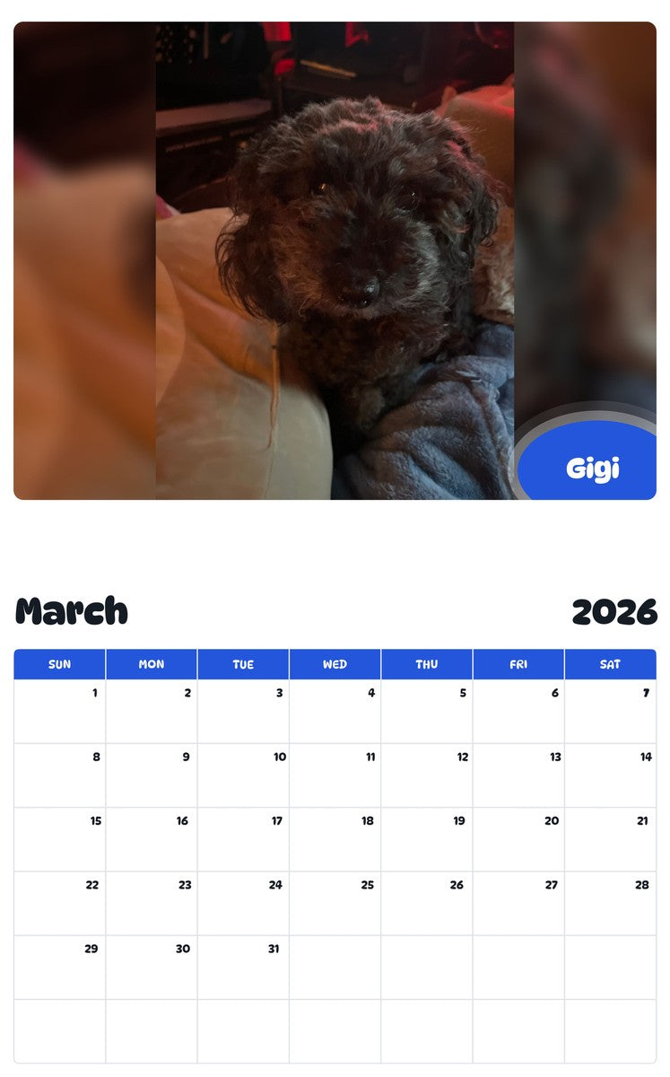 November 2025 - October 2026 Gigi - Pawidols Pet Calendar