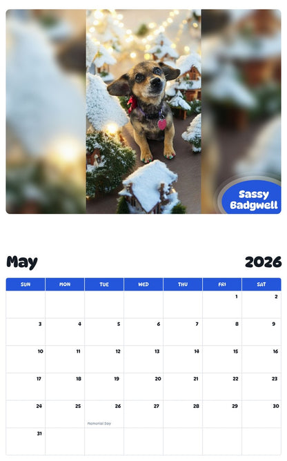 2026 - 2027 Sassy Badgwell - Pawidols Pet Calendar