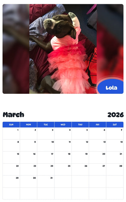 November 2025 - October 2026 Lola - Pawidols Pet Calendar