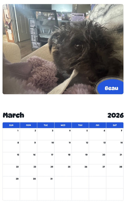 November 2025 - October 2026 Beau - Pawidols Pet Calendar