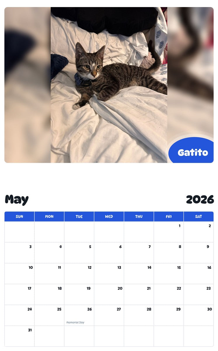 2026 - 2027 Gatito - Pawidols Pet Calendar