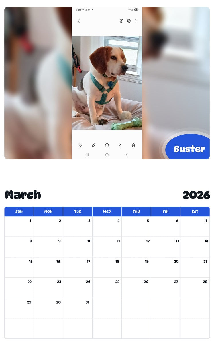 November 2025 - October 2026 Buster - Pawidols Pet Calendar