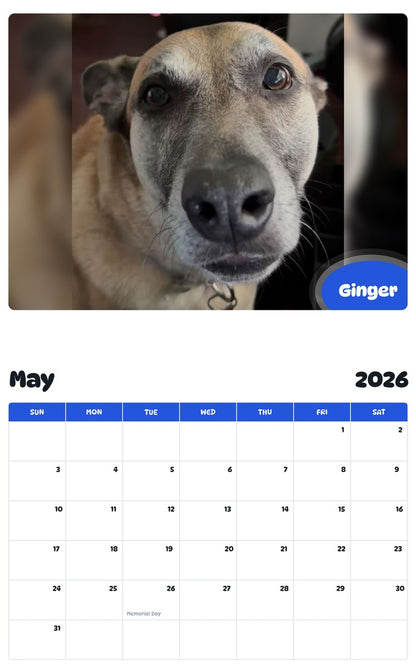 2026 - 2027 Ginger - Pawidols Pet Calendar