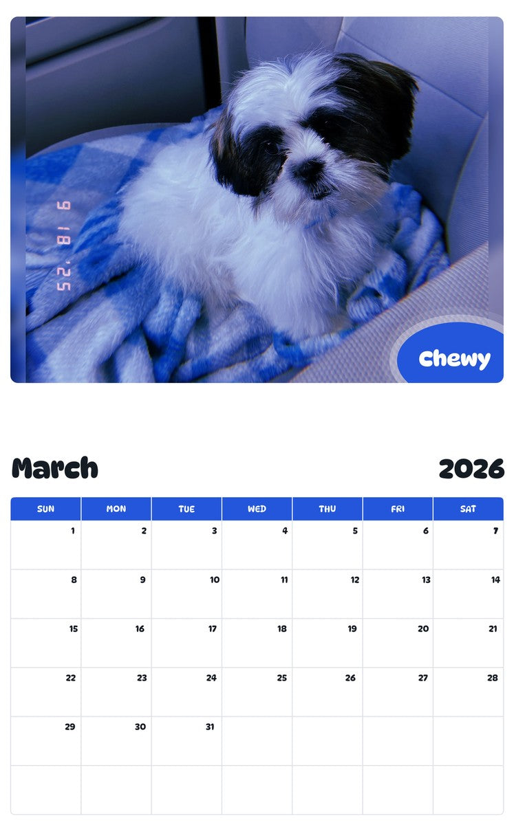 November 2025 - October 2026 Chewy - Pawidols Pet Calendar