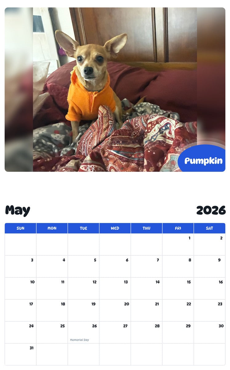2026 - 2027 Pumpkin - Pawidols Pet Calendar