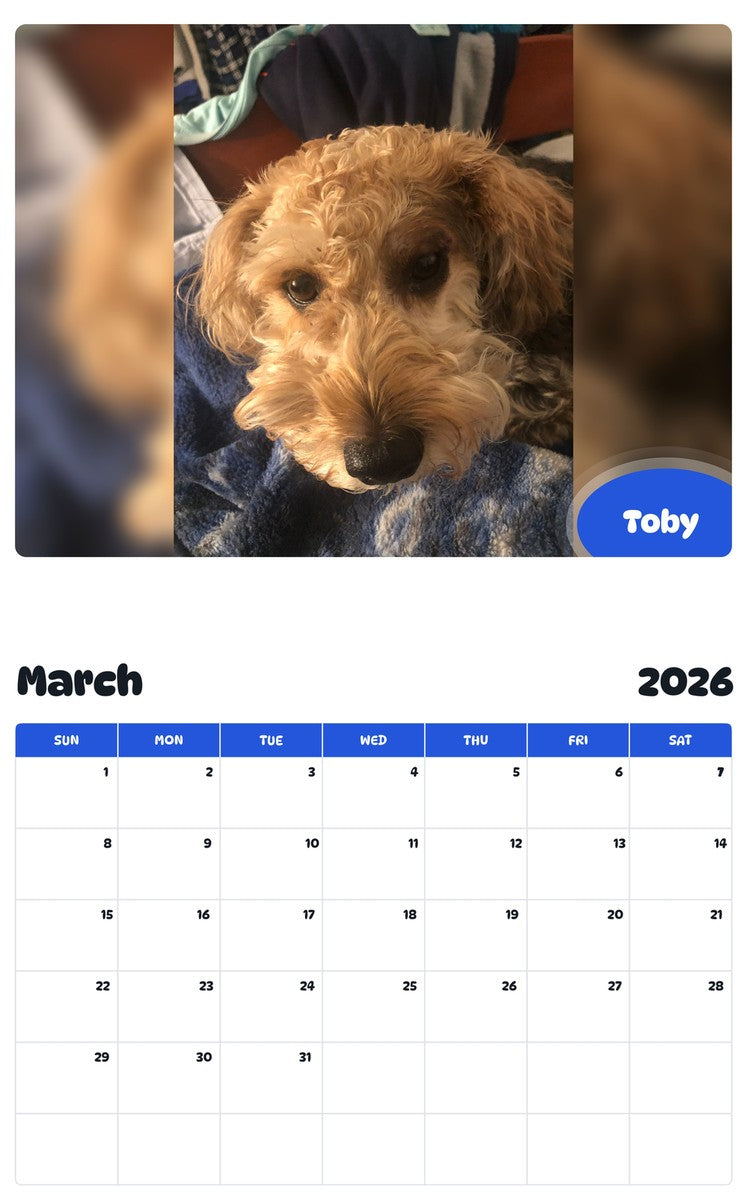 November 2025 - October 2026 Toby - Pawidols Pet Calendar