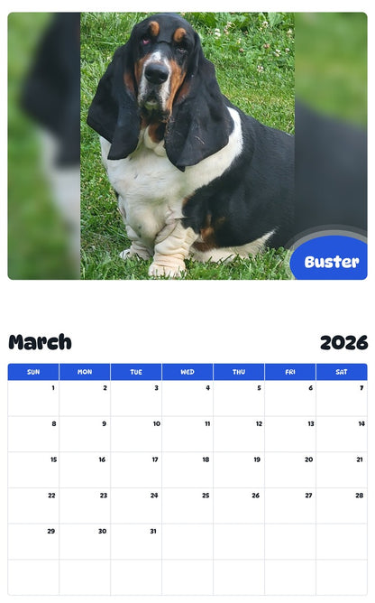 November 2025 - October 2026 Buster - Pawidols Pet Calendar
