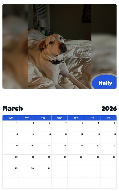 November 2025 - October 2026 Wally - Pawidols Pet Calendar